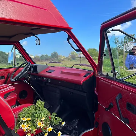 Rent A Blue Classics' S Campervan For Your Road Trip In -volkswagen T3 Luxury tent