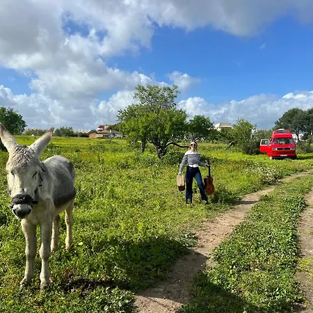 Luxuszelt Rent A Blue Classics' S Campervan For Your Road Trip In -volkswagen T3 *