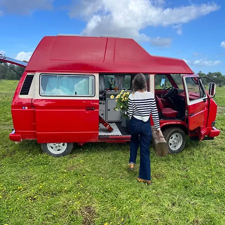 럭셔리텐트 Rent A Vw T3 Camper Van With Blue Classics 포티마오